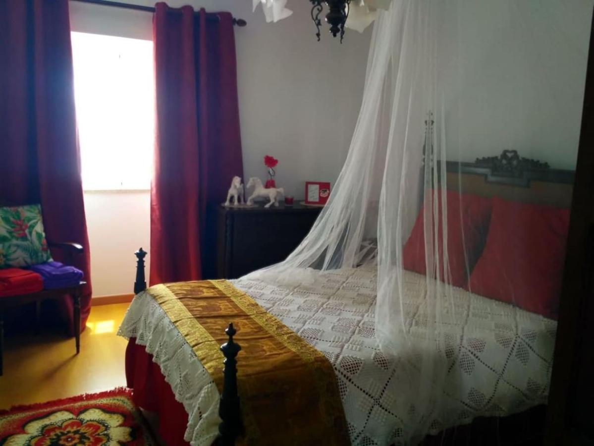 Willa Casa Aurora Penacova Zewnętrze zdjęcie