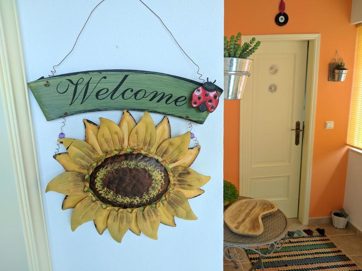 Willa Casa Aurora Penacova Zewnętrze zdjęcie